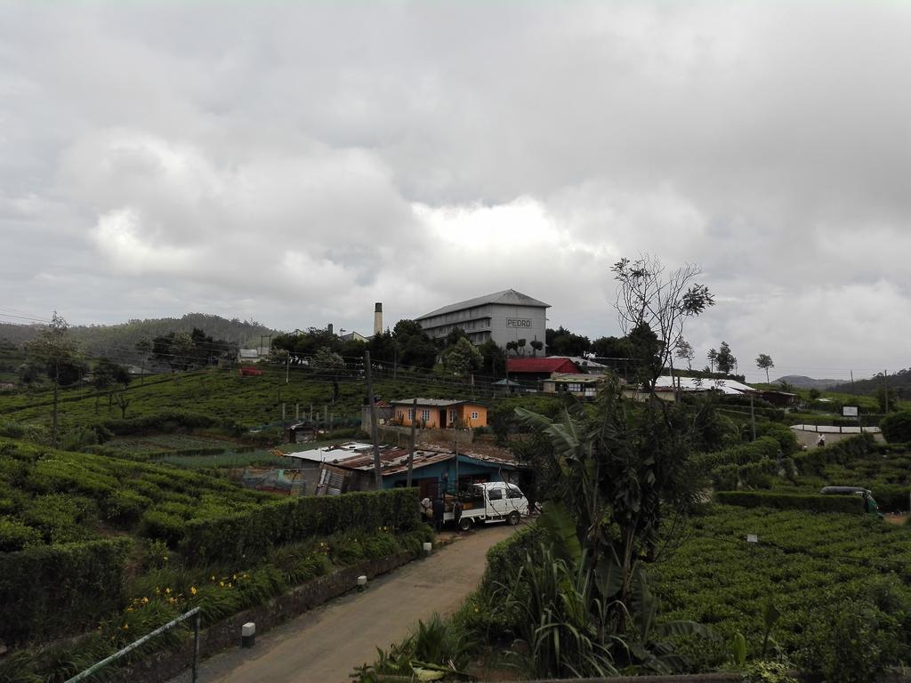 Pedro View Homestay Nuwara Eliya Exterior photo