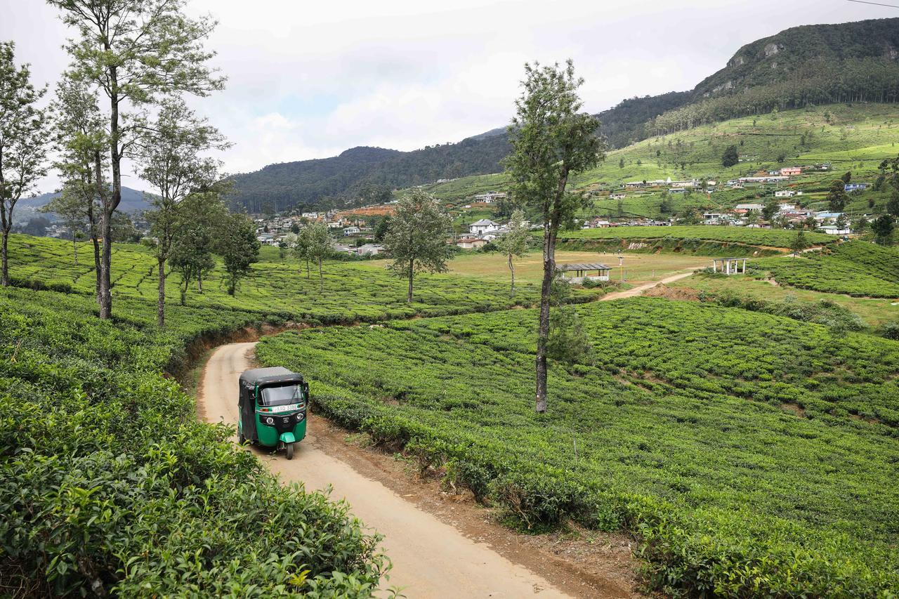 Pedro View Homestay Nuwara Eliya Exterior photo
